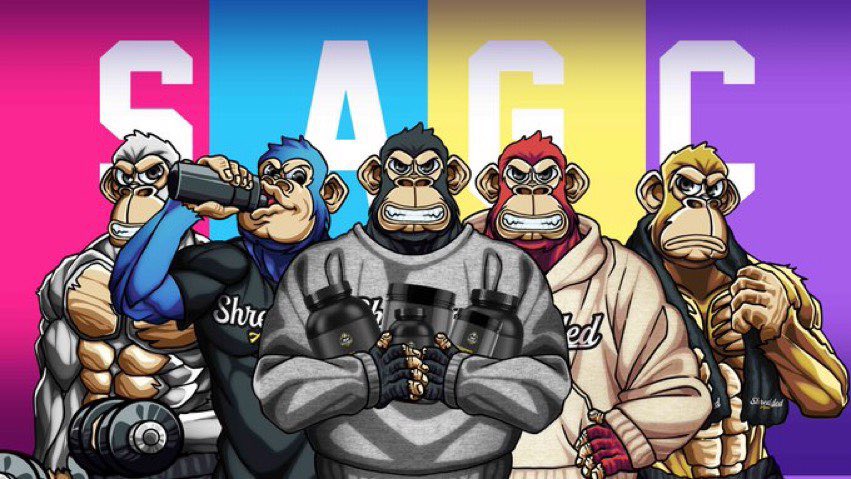allMUSCLEnoLUCK's tweet photo. #sagcTHREAD There are a lot of projects out there and everyone always asks why they should join this or that community. I’ll do you one better with this thread and I’ll have you questioning why you haven’t aped in yet! @ShreddedApesNFT https://t.co/w1VkCEr9xd