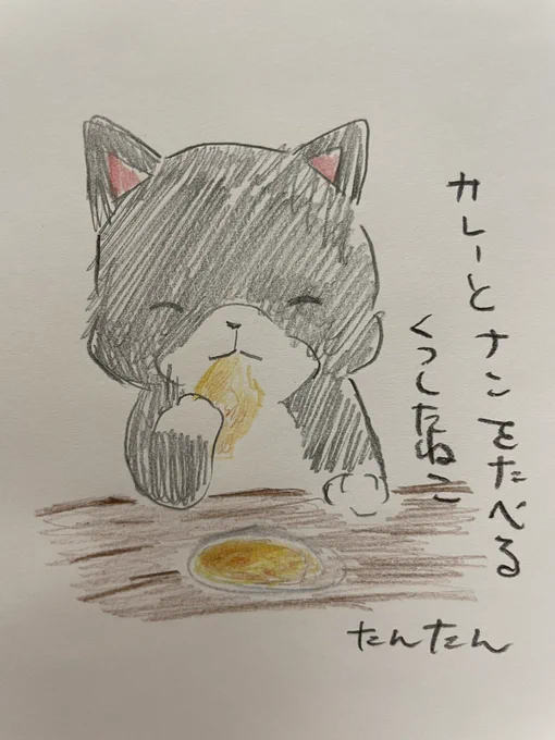 カレーとナンを食べるくつしたねこ#イラスト #猫 