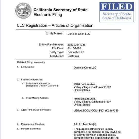 danicohnsdiary's tweet photo. How am I faking this ? Did yall know Jen is registered her daughter as a limited liability company. How is a child a company? This doesn't show your income ? This shows someone is a company. https://t.co/bHaom7maiL