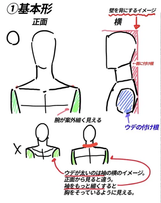 バストアップ描き方まとめ!!
・正面の腕は意外と細く、横から見ると太い
・肩はやや内巻きにカーブしてる
・首肩は全て連動
‥難し過ぎるのでとにかく上手い絵や実物を観察して描きましょう!!
その時の見方の参考です。 