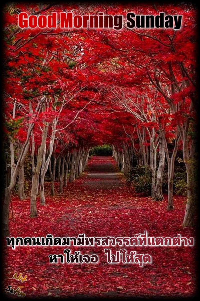 Nit Satun tweet media