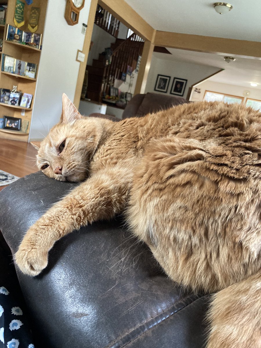 LUUXRAY's tweet photo. 🥺 https://t.co/3tZeyIWEkT