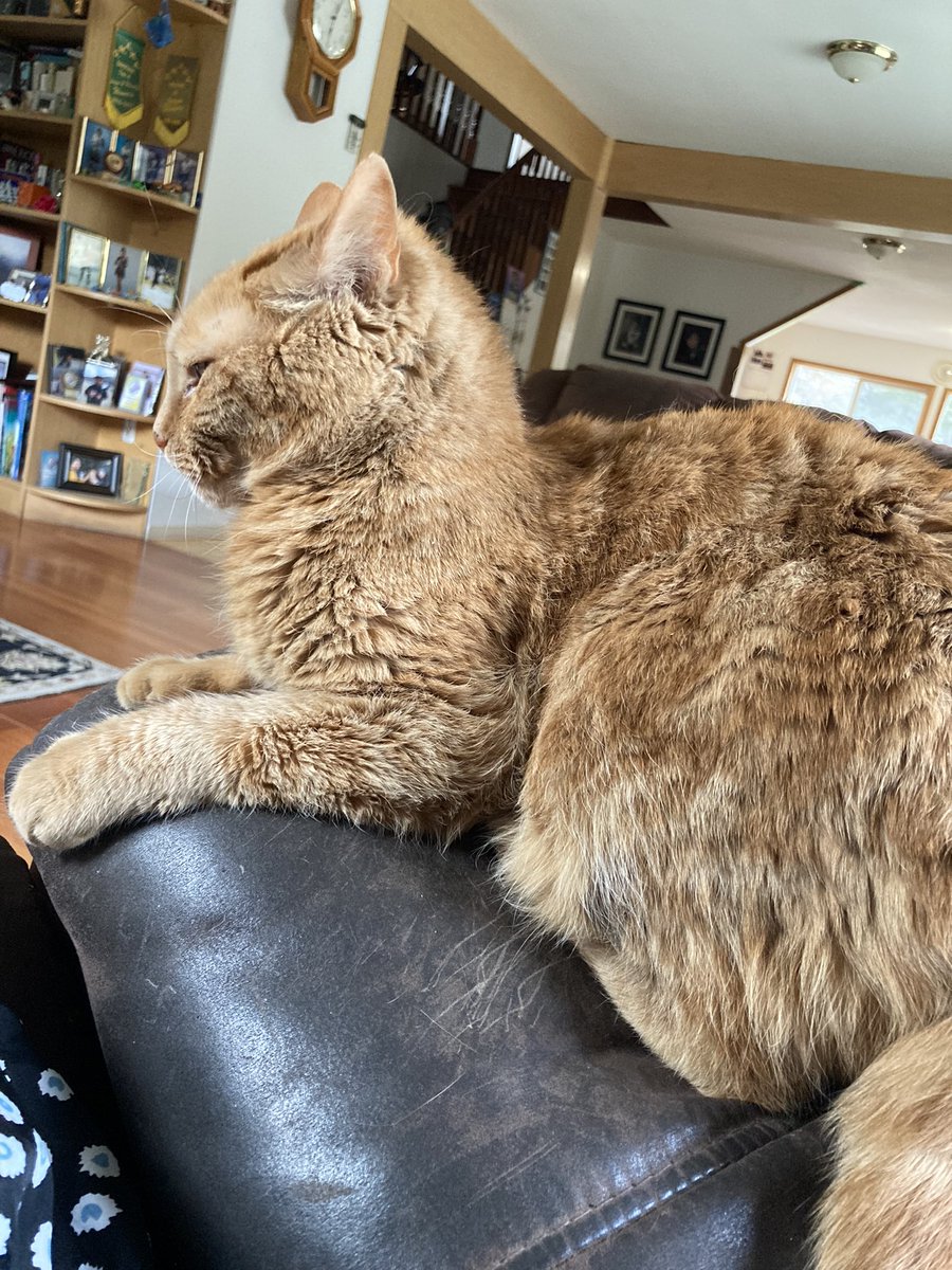 LUUXRAY's tweet photo. 🥺 https://t.co/3tZeyIWEkT