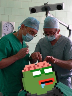 "I'm telling you Paul, hundred bucks says if you poke his brain right there it'll make his wiener move; check it out"