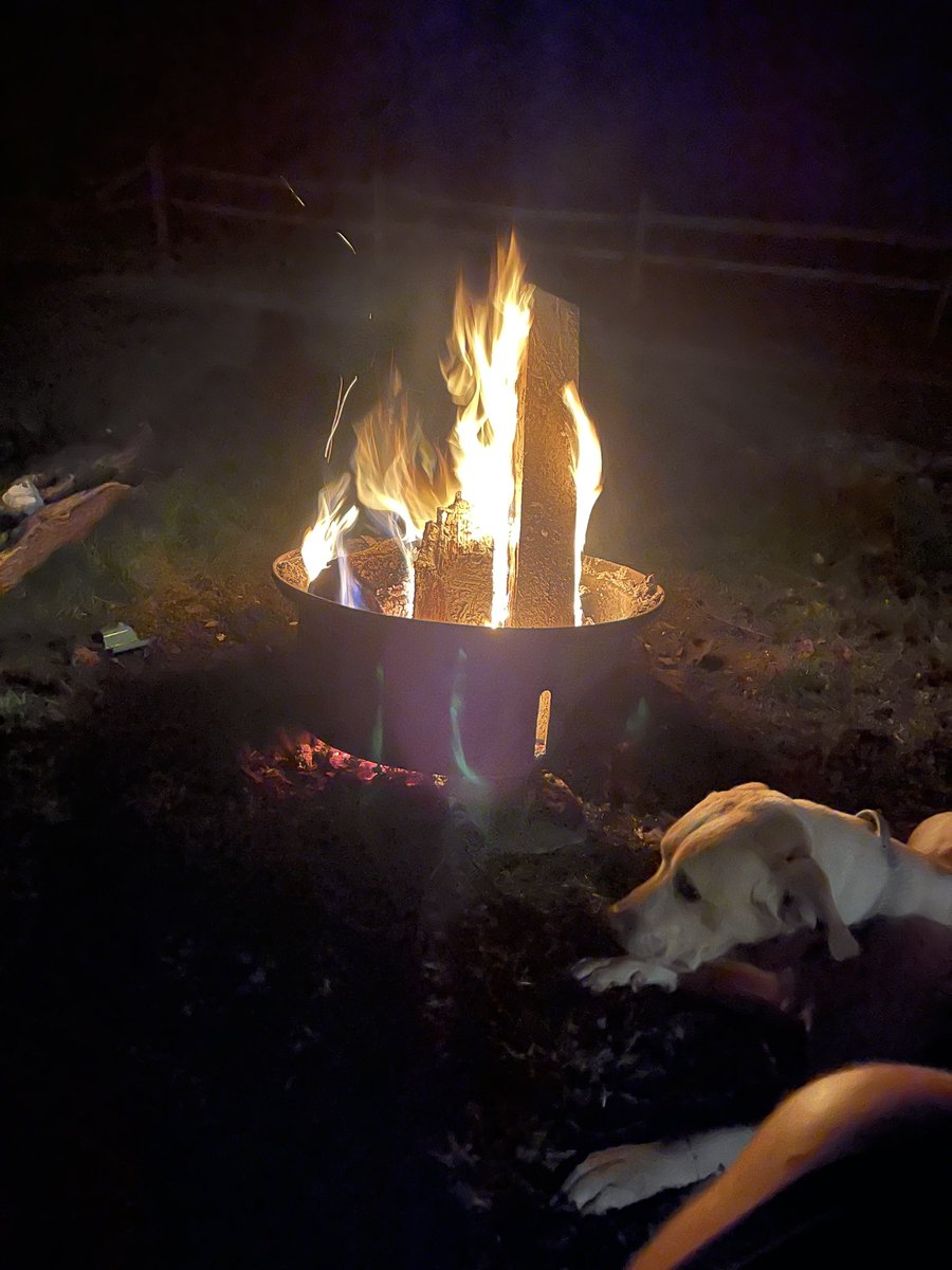 bigedawg05 tweet media