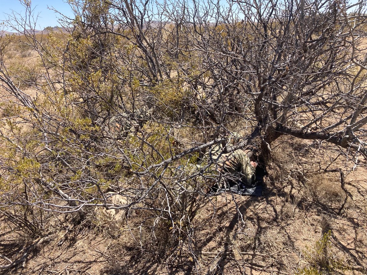 nbpc2509's tweet photo. EAGLE-EYED AGENTS NAB 18; CAN YOU SPOT THEM?
Marfa and Sanderson #BorderPatrolAgents w/ @CBPAMO  caught 18 illegal aliens.  
1st pic has six 2nd pic has 12.  #BigBend #BorderPatrol #BPUnion #Police #ThinBlueLine #BorderCrisis #honorfirst https://t.co/f1F4zHd3I0