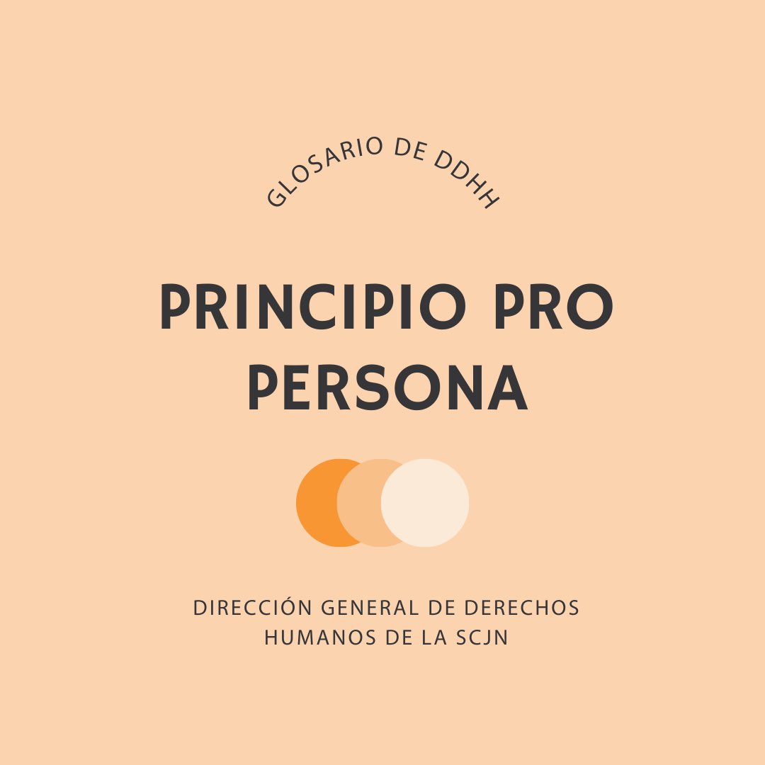 📖Glosario de Derechos Humanos

De acuerdo con el principio pro persona, cuando dos artículos o dos interpretaciones de un mismo derecho son claramente incompatibles, se debe elegir la que proteja de mejor manera a las personas… 🧶🧵