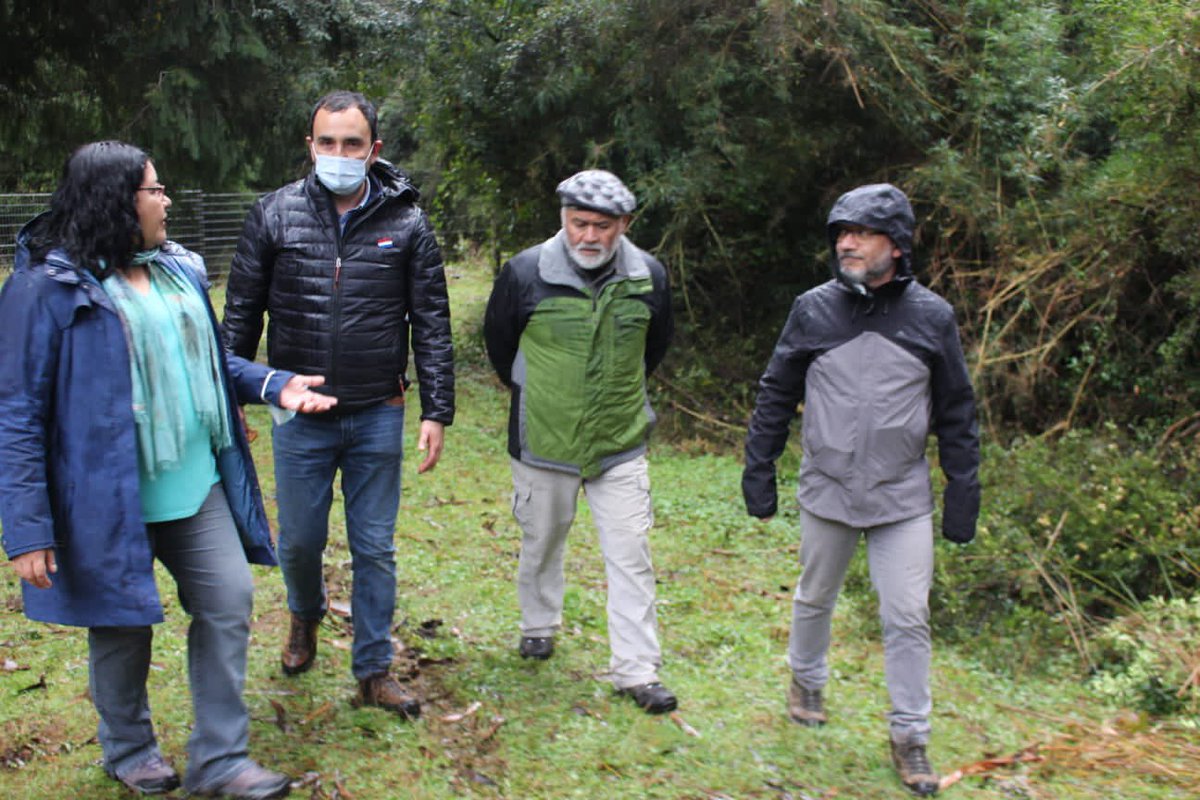 DPRLosRios's tweet photo. Esta tarde, la @DPRLosRios @POPAVALDIVIA junto al @GOREdeLosRios @LuisCuvertinoG participaron en sector Los Ulmos-La Plata en la inauguración de un nuevo Festival del Hongo y Frutos Silvestres, evento que da cuenta de las tradiciones culturales y gastronómicas de nuestra región. https://t.co/XbULb0v5y7
