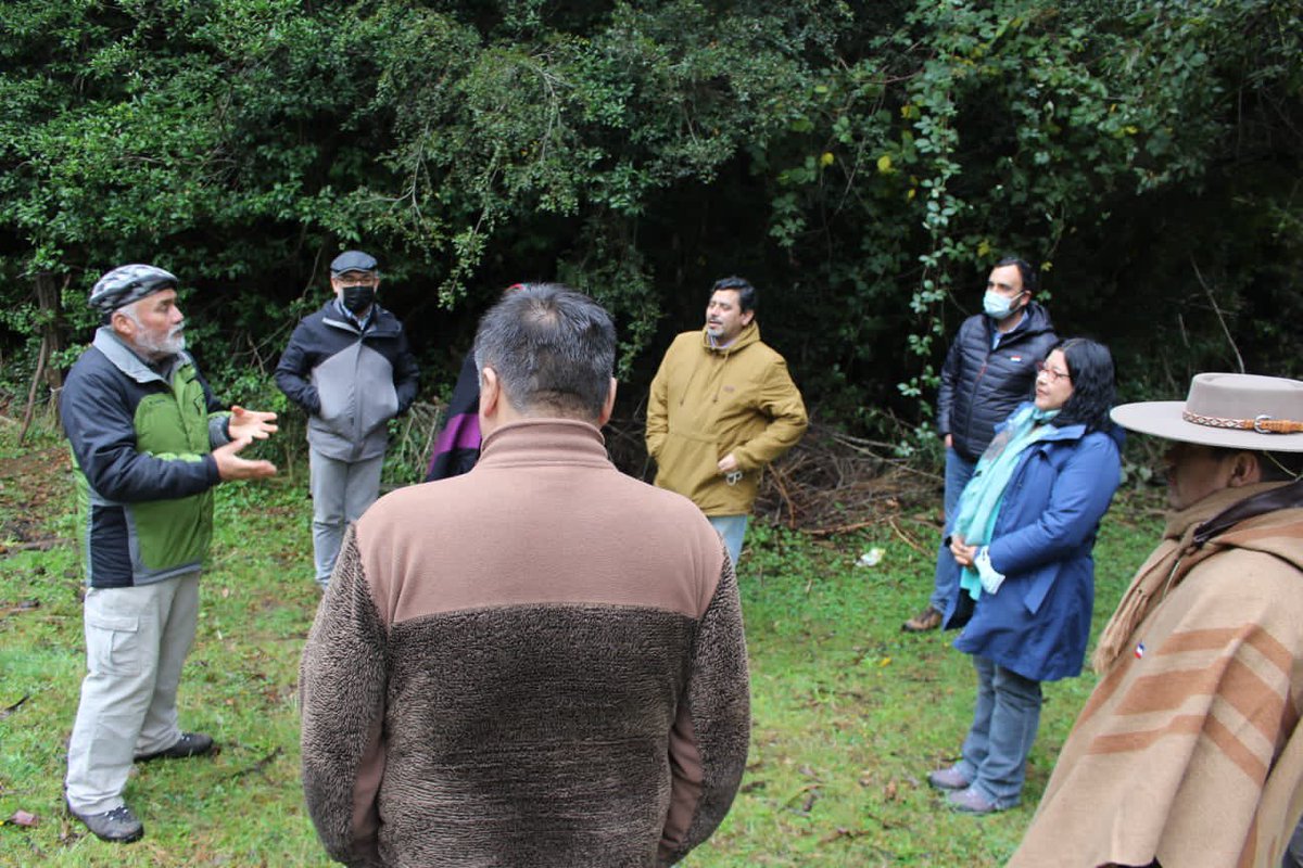 DPRLosRios's tweet photo. Esta tarde, la @DPRLosRios @POPAVALDIVIA junto al @GOREdeLosRios @LuisCuvertinoG participaron en sector Los Ulmos-La Plata en la inauguración de un nuevo Festival del Hongo y Frutos Silvestres, evento que da cuenta de las tradiciones culturales y gastronómicas de nuestra región. https://t.co/XbULb0v5y7