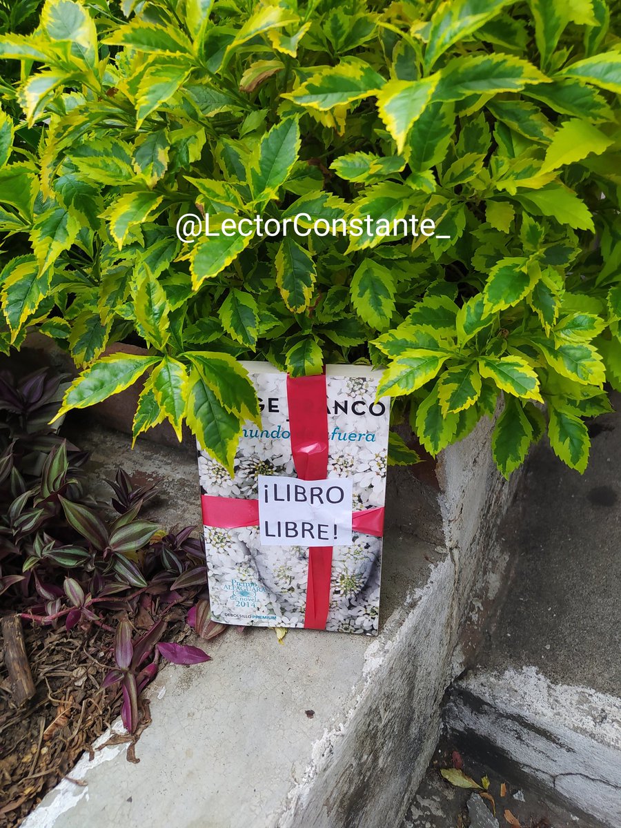 LuisPedroMR's tweet image. Cómo ya es costumbre mía hoy salí por mi barrio a liberar 3 libros de mi biblioteca personal.

#DíaDelLibro
#LibroLibre 
#LiberarLibros