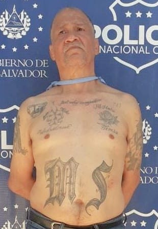 elsalvador's tweet photo. #DePaís | Mario Alfredo Cristales Flores, alias Snoopy, fue arrestado en #Soyapango por la @PNCSV. Este sujeto se dedicaba a reclutar jóvenes para la pandilla, además de mantener en zozobra a residentes de Bosques de Prusia, señala la policía. Foto: PNC https://t.co/ojyQT6bwQh