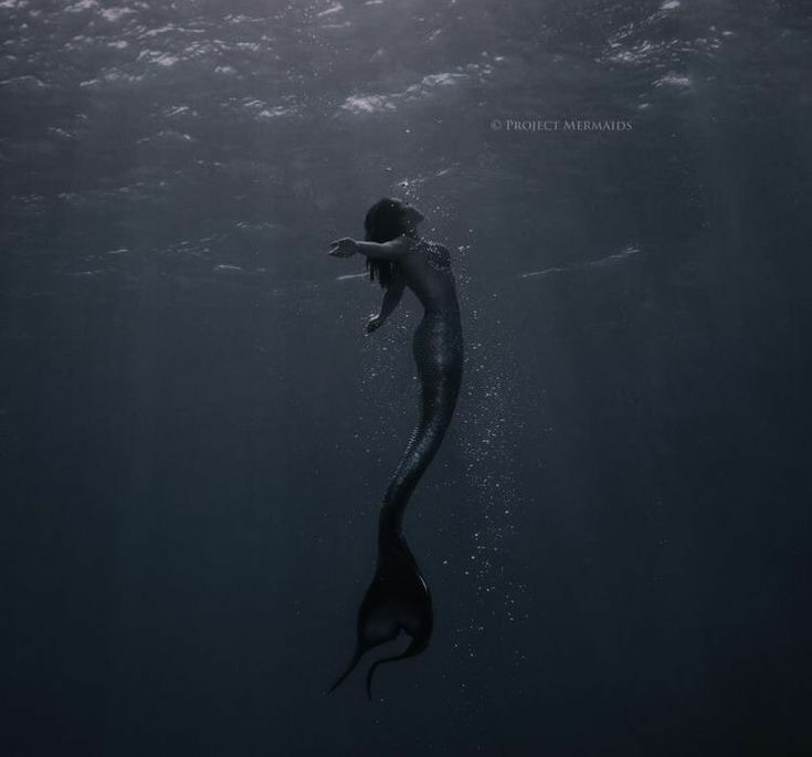 aninhax0709's tweet photo. #GwynWeek2022

• Day Seven: Free day 

      Aesthetic ninfa gwyneth... https://t.co/AOYxcs7YuB