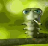 D3oderant tweet picture