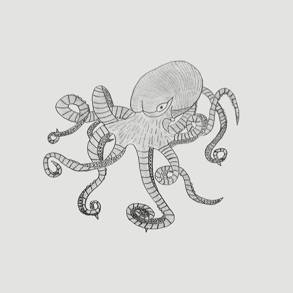 PencilTheory's tweet photo. @SkurpySocial All original pencil drawings!

https://t.co/cqiAEPQNF9 https://t.co/PTbwlaLBad