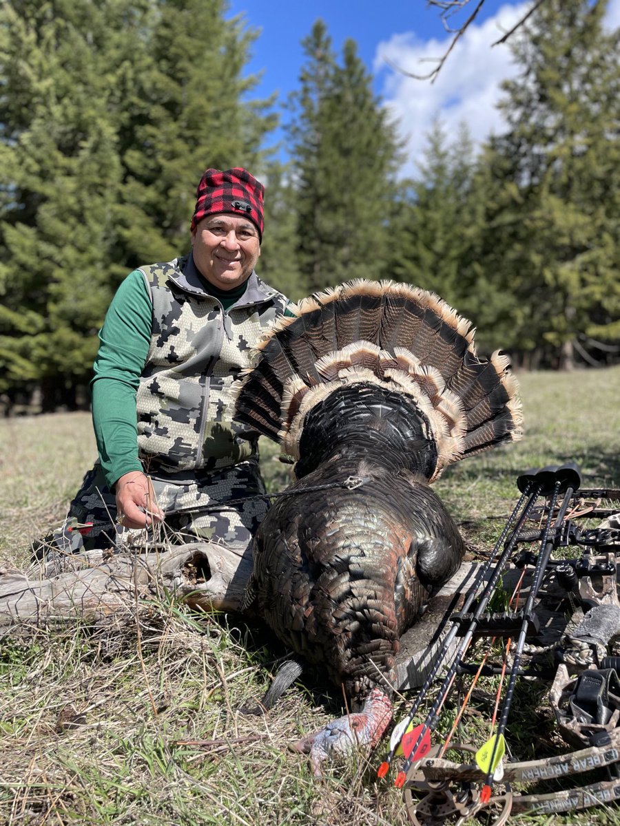 ArceTony's tweet photo. Successful archery hunt for Merriam Turkey in Montana this week. #montana #merriamturkey #archeryhunting #springkingcalls #beararchery #magnusbroadheads #kuiu #tukeyhunting #sanderscounty https://t.co/RMOrAiD7C8