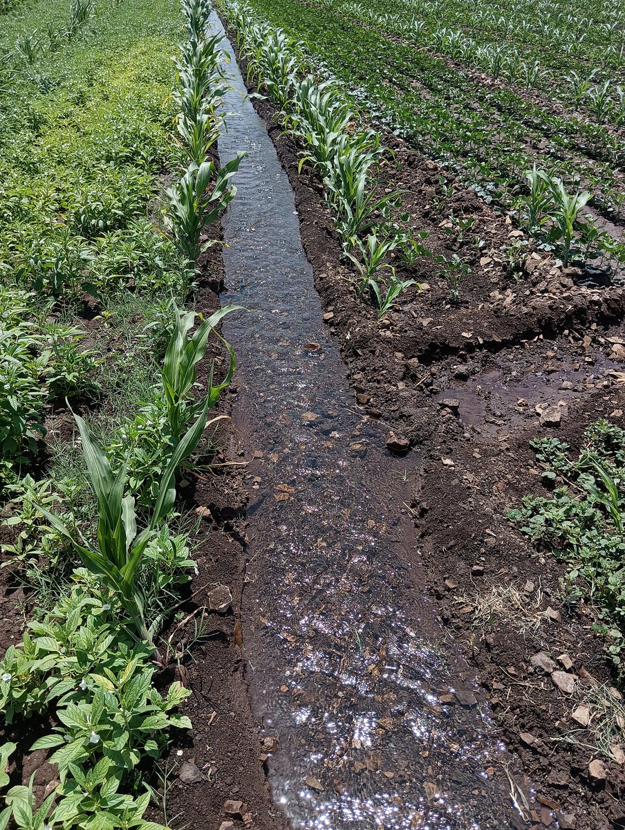 Well water is best water than the mineral water... It contains all the minerals.!