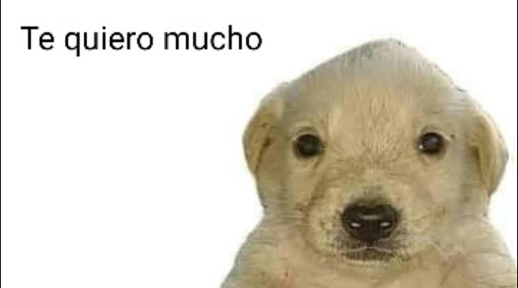 CosasDeHugo's tweet photo. holis @BurgerKingMX hoy compré un king de pollo y estuvo chida uwu https://t.co/dI5Cp501mr