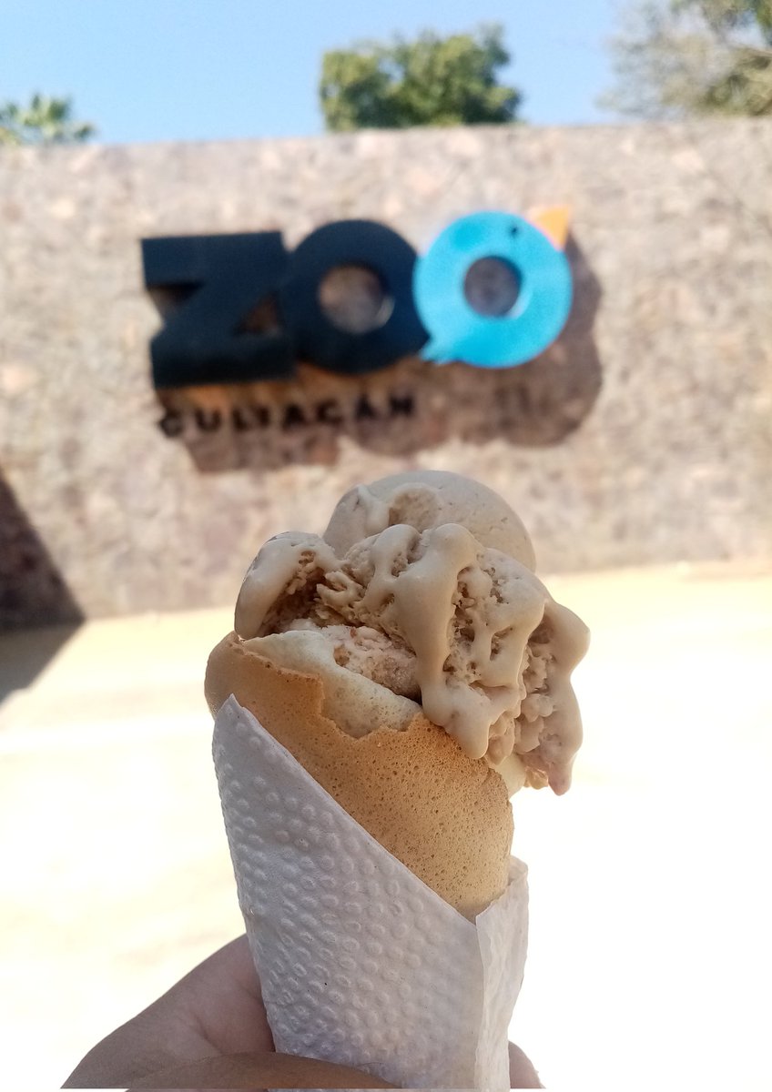 MCambers's tweet photo. Degustando un heladito antes de entrar al @ZooCuliacan en familia y apoyando para que el zoológico de Culiacán siga en excelente estado. #zoológico https://t.co/KZUBukWgwd