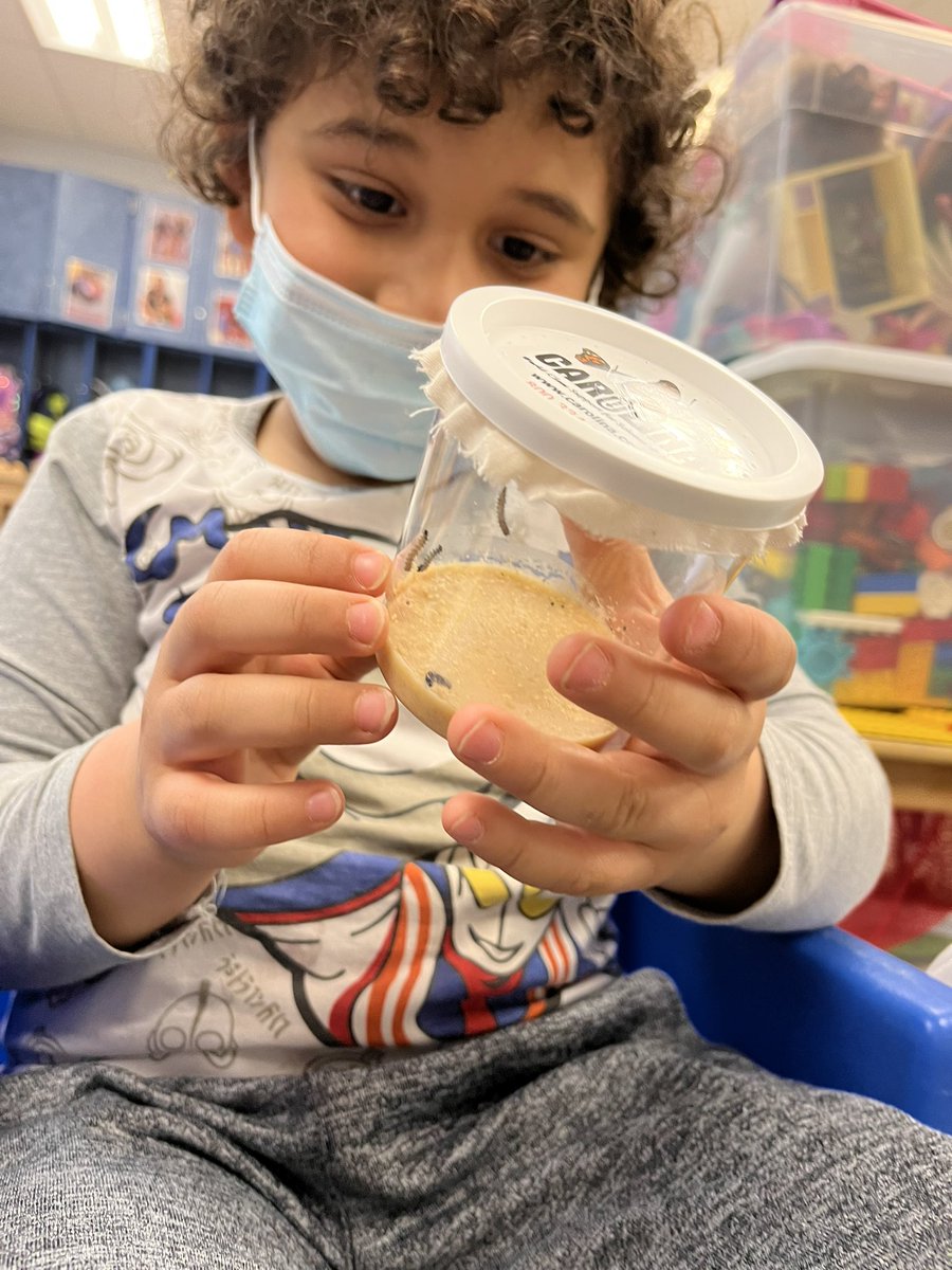 MsBaker_MVW's tweet photo. Tiny caterpillars showed up this week! #fcpsprek #mvwes https://t.co/YeRyw46oRW