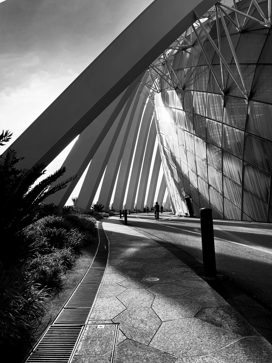 _ektaparekh's tweet photo. Long time, no black and white 🖤🤍
#walkdiaries https://t.co/oAwvM2hg5v