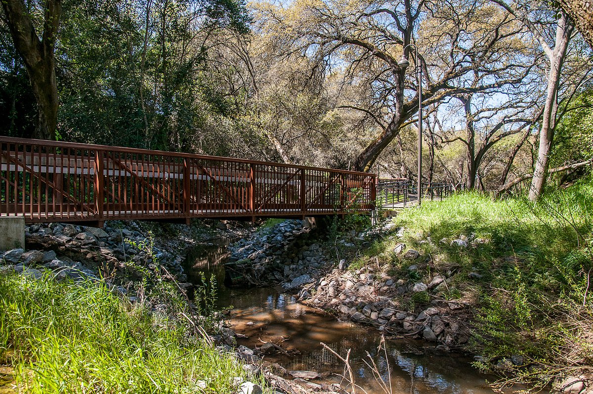 CHSentinel's tweet photo. Trail project in Citrus Heights moving forward, with tree preservation efforts
 https://t.co/02zmT2FGuZ https://t.co/xyrhWnHIp0