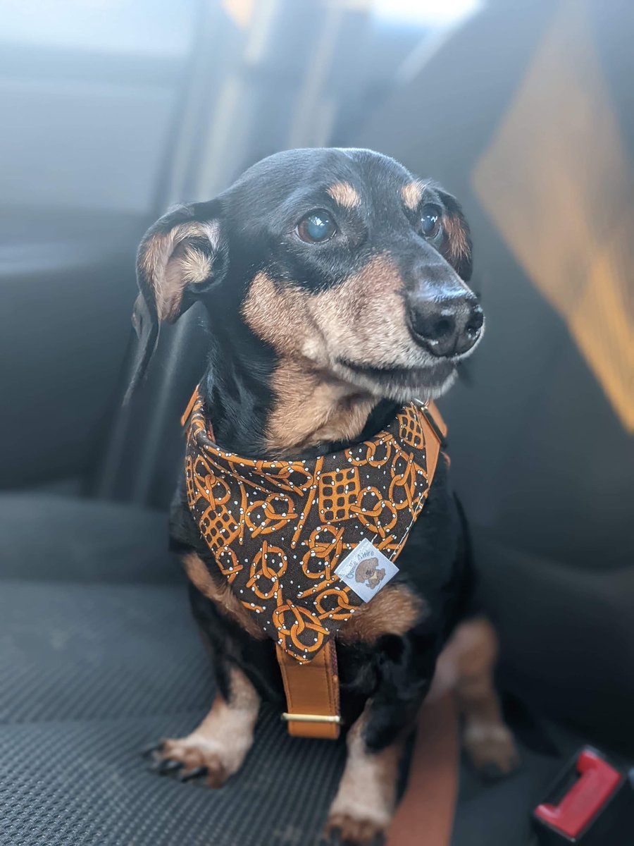 Maxi Pad tweet media