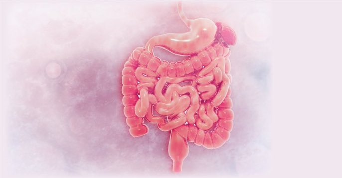 vincentmenezes's tweet photo. A #new_study suggests the coronavirus can infect your intestinal tract for weeks and months after you've cleared the bug from your lungs. This could explain why some #COVID_patients develop #GI_symptoms like abdominal pain, nausea, vomiting and diarrhea.
https://t.co/PH49PKNko9 https://t.co/je1Vi3B3kX