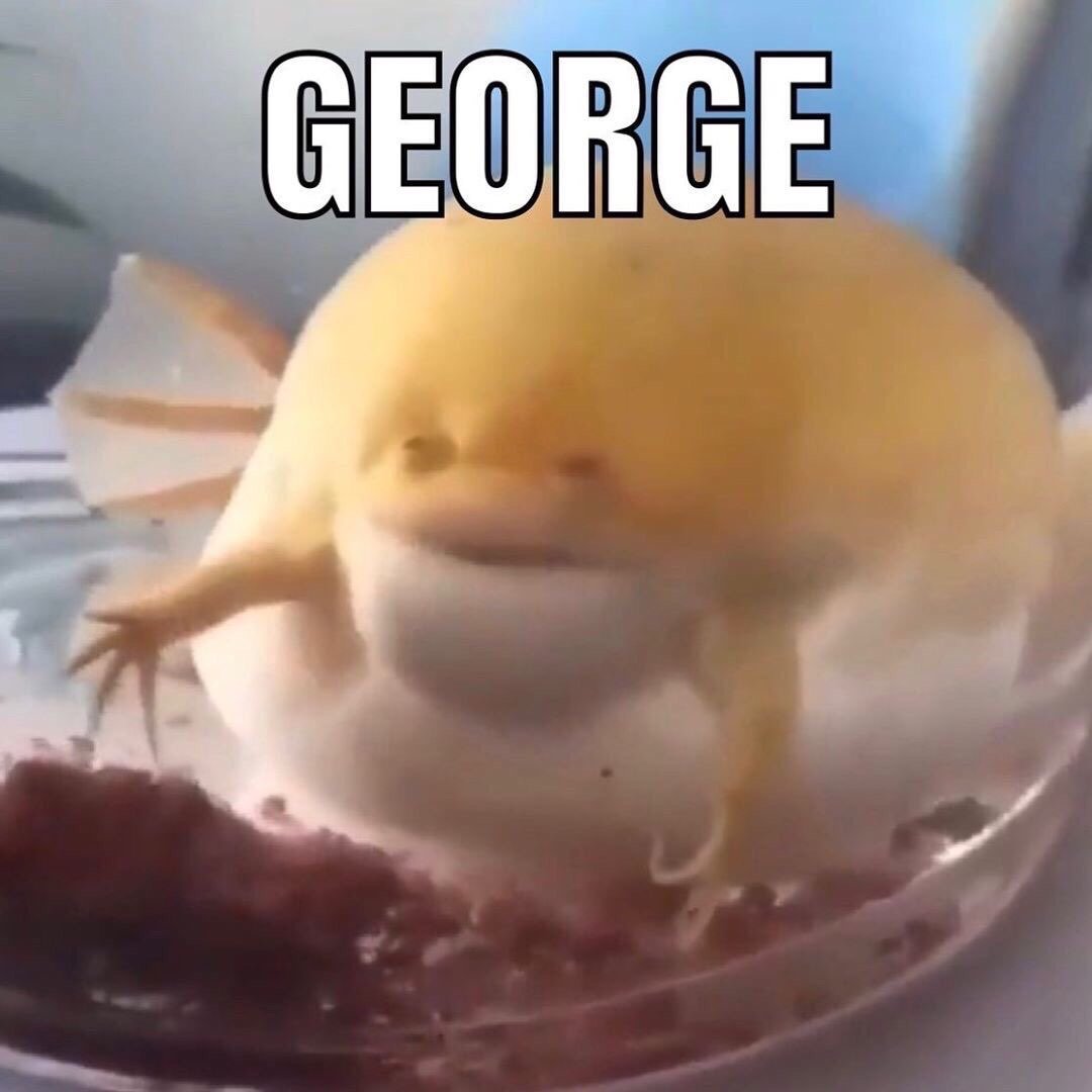 Geoger