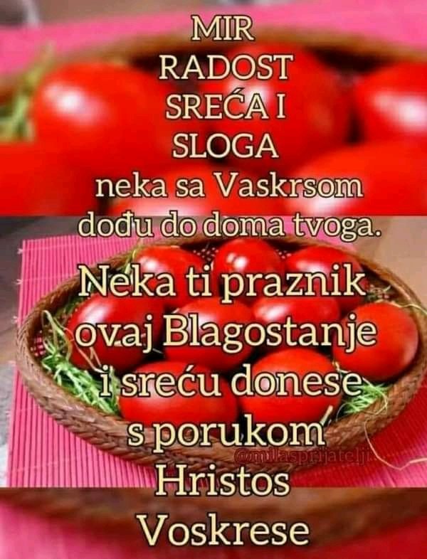 Predrag Kanacki (@kanackipredrag) on Twitter photo 