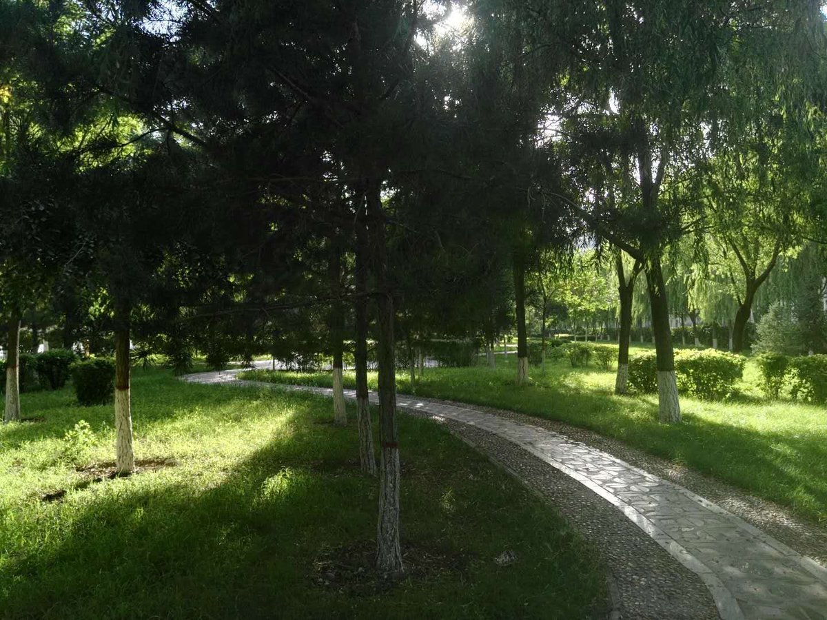 PublicaGratis.net (@publica_gratis) on Twitter photo 