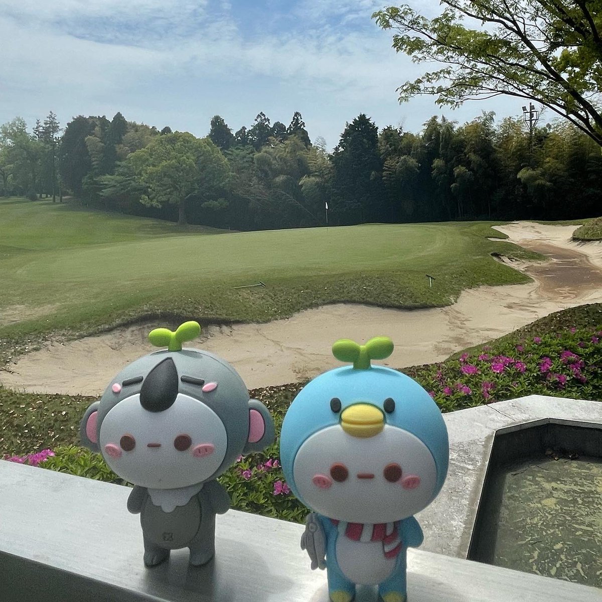 spacio0119's tweet photo. 久しぶりにゴルフに行きました
※ミライトワのボールは使っていません(撮影用)
#ミライトワ 
#ミラソメ 
#ミラソメ存続希望 
#長草くん
#buddingpop 
#ゴルフ https://t.co/FIRdrTJhRv