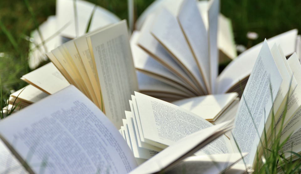 Estos han sido los #LibrosMásVendidos por el #DíadelLibro 👉 bddy.me/3LaSEVW

¿Cuál tienes tú?

#FelizDomingo