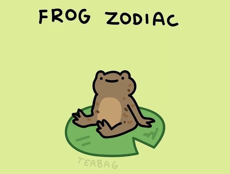 froggo memes on Twitter "https//t.co/v9vSAY2Bar" / Twitter