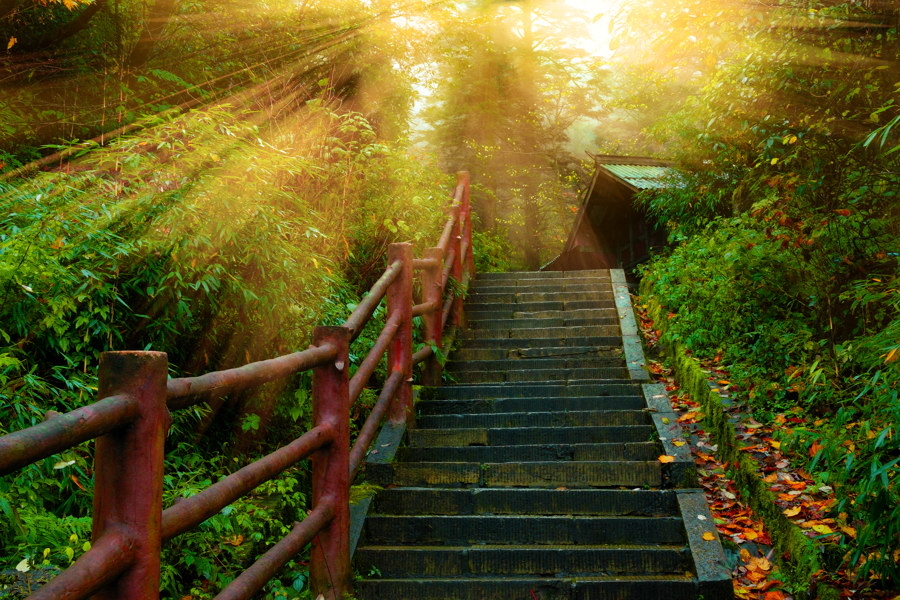 PublicaGratis.net (@publica_gratis) on Twitter photo 