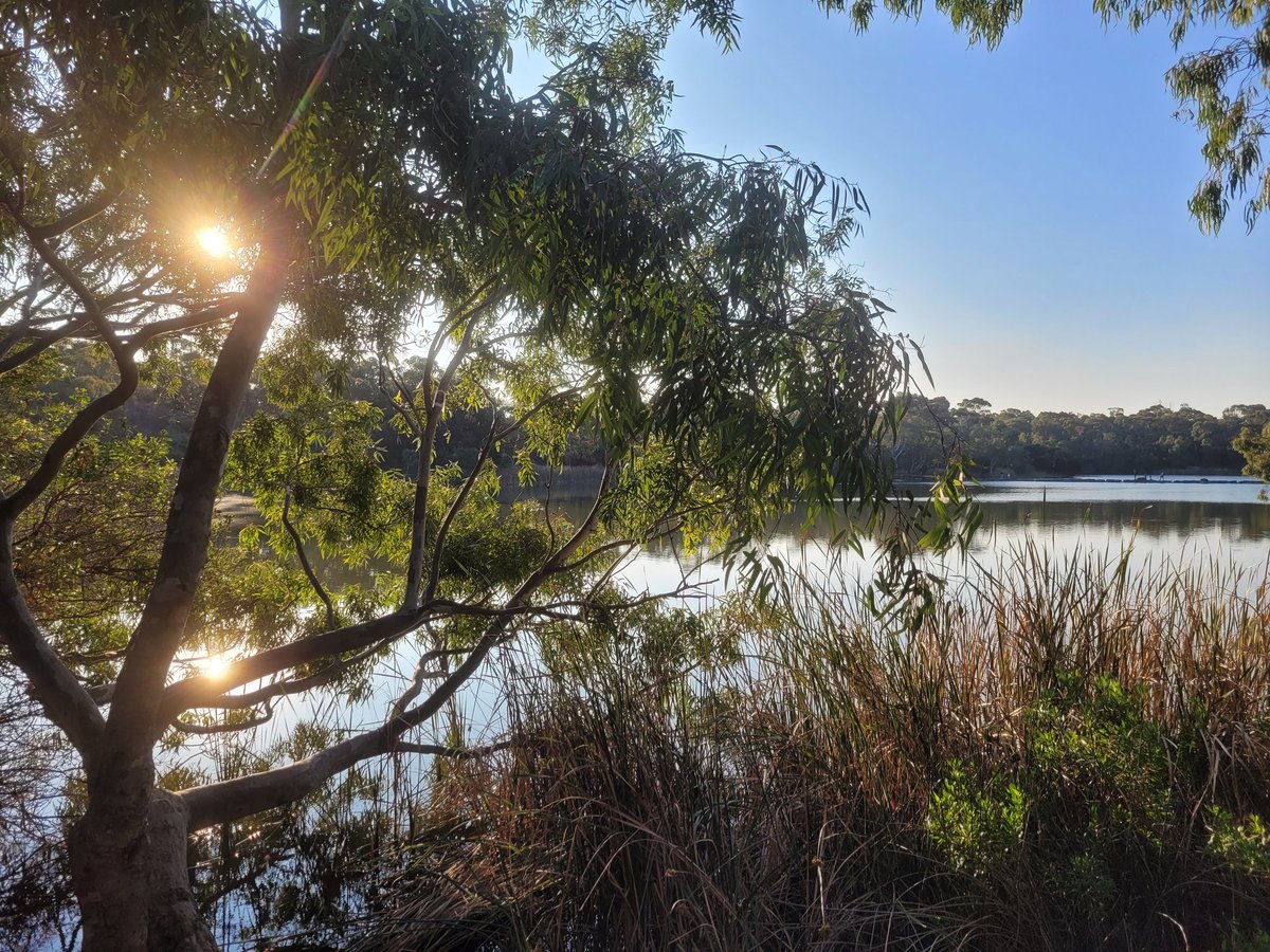 Saturday evening run