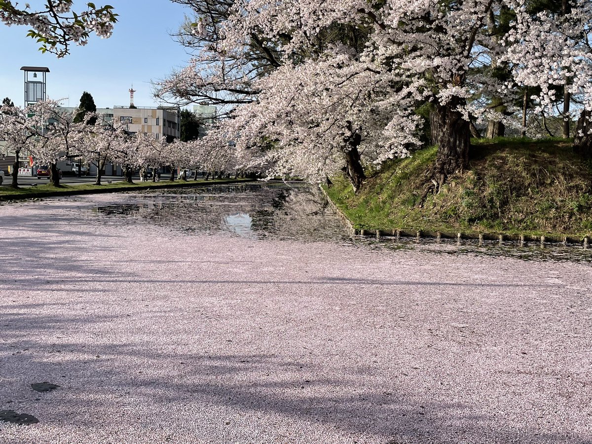 弘前公園なり