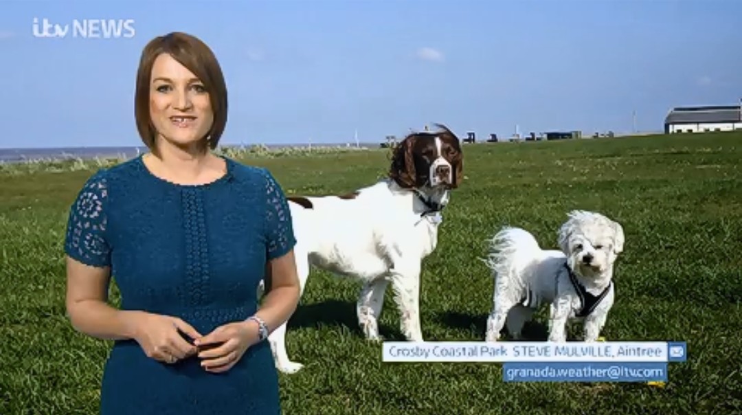 SteveMulville's tweet photo. Jasper๐ looked at me disbelievingly yesterday when i told him to watch out for @kerriegosneyTV on #GranadaWeather ๐๐ธ
Thanks for sharing our windy weatherpic...as always ๐ https://t.co/nZgWtcxc5G
