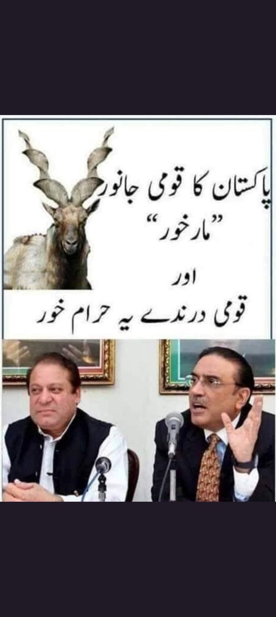Education_92's tweet photo. #امپوڑٹڈ_حکومت_نامنظور https://t.co/iTWFhcy59d