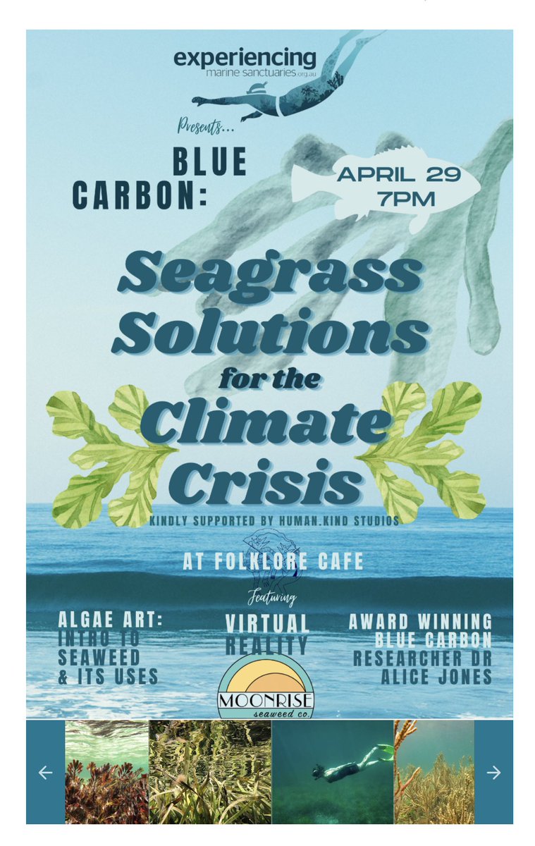 Join me &amp; others for this Experiencing Marine Sanctuaries event on Friday (29th Apr). An evening of #seagrass &amp; #seaweed fun! Program includes my talk about how marine plants help us fight climate change, plus awesome seaweed art &amp; seaweed food! 
Tickets: bit.ly/3vFBglt