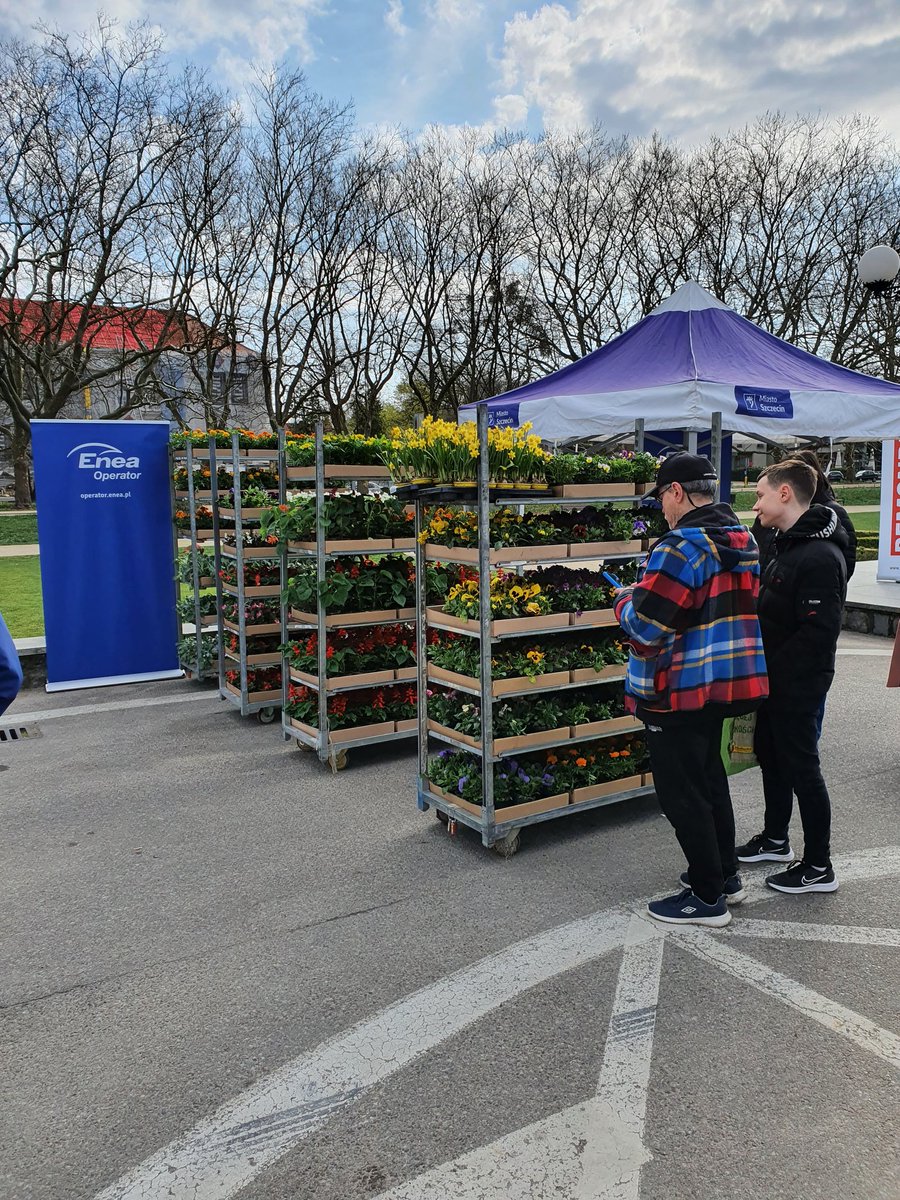 MonikaBlaszyk's tweet photo. Dzień dobry! Kto rano wstaje ten otrzymuje kwiaty 🌺🌸🪴
Razem z @USzczecinski zapraszamy na #JasneBlonia w #Szczecin ☀️
Akcja #KwiatZaGrat rozpoczęta. https://t.co/W13SDxVFVz