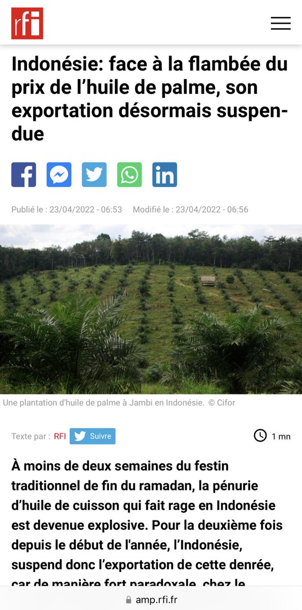 Au vu des enjeux actuels, la création d’une filière industrielle eco-responsable du palmier à huile devrait être la priorité #1 de notre politique agricole.

<a href="/IndustrieCG/">Ministère du Développement Industriel-Congo</a> @Unicongo1