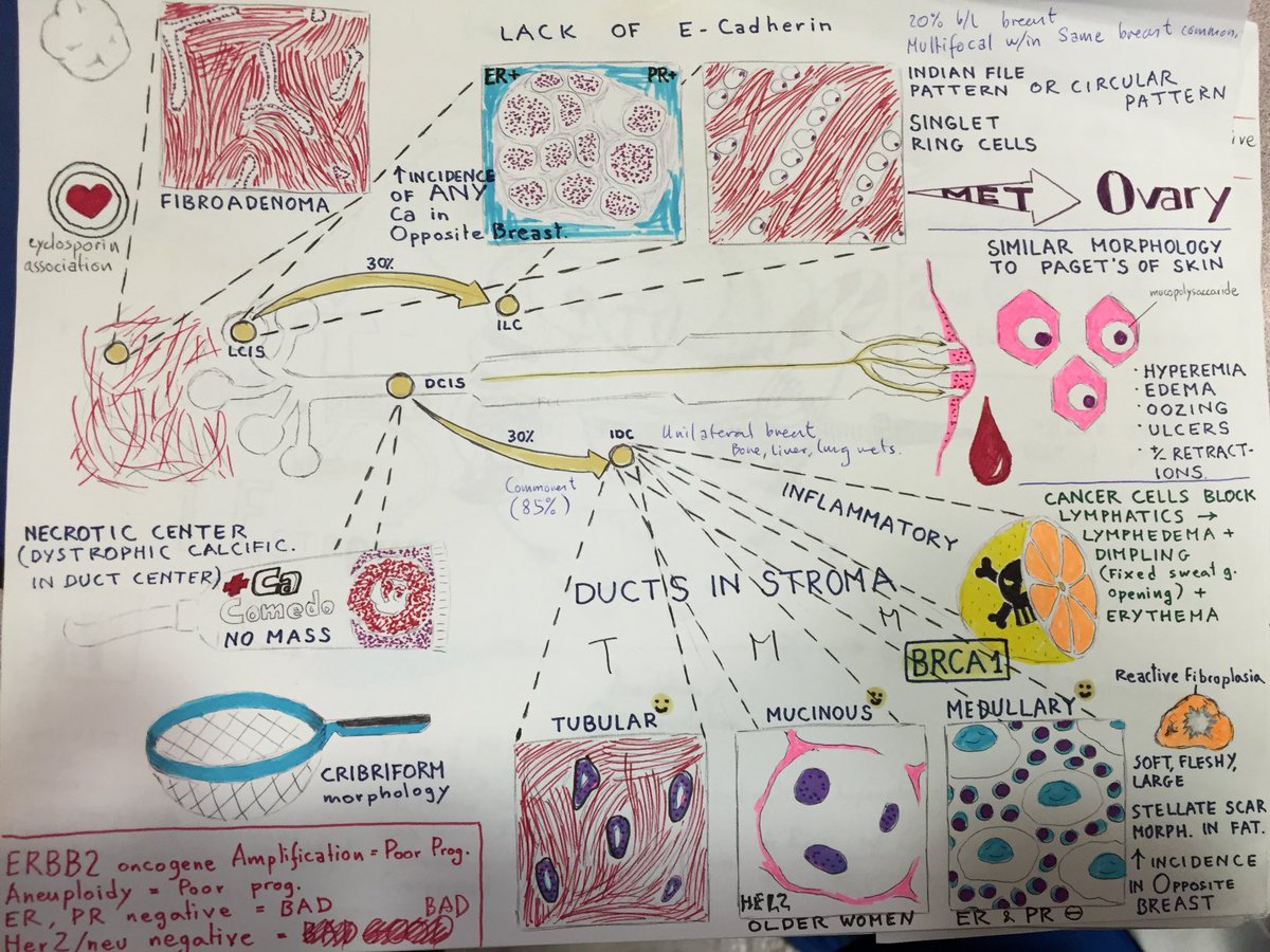 Sedhai007's tweet photo. On e upon a time in final year. #FinalMBBS https://t.co/essIwTYZEt