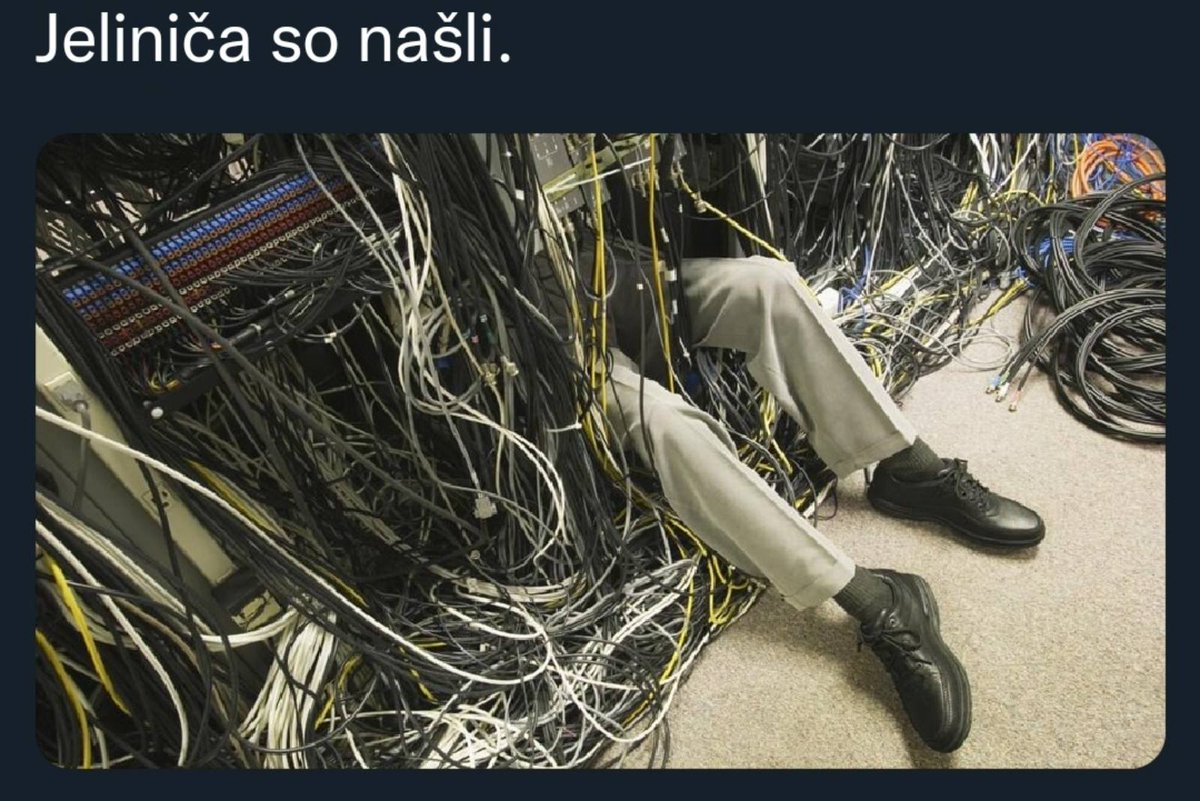 sanja tweet media