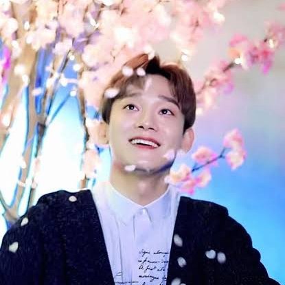 DoKyungLoey's tweet photo. Uno de los hashtags que se usará para darle la bienvenida es precioso🥺

"🌸La primavera de Jongdae que vino de nuevo🌸" (다시_찾아온_종대의_봄)

#CHEN #첸 #EXO #엑소 @weareoneEXO https://t.co/RckYiMUIbL