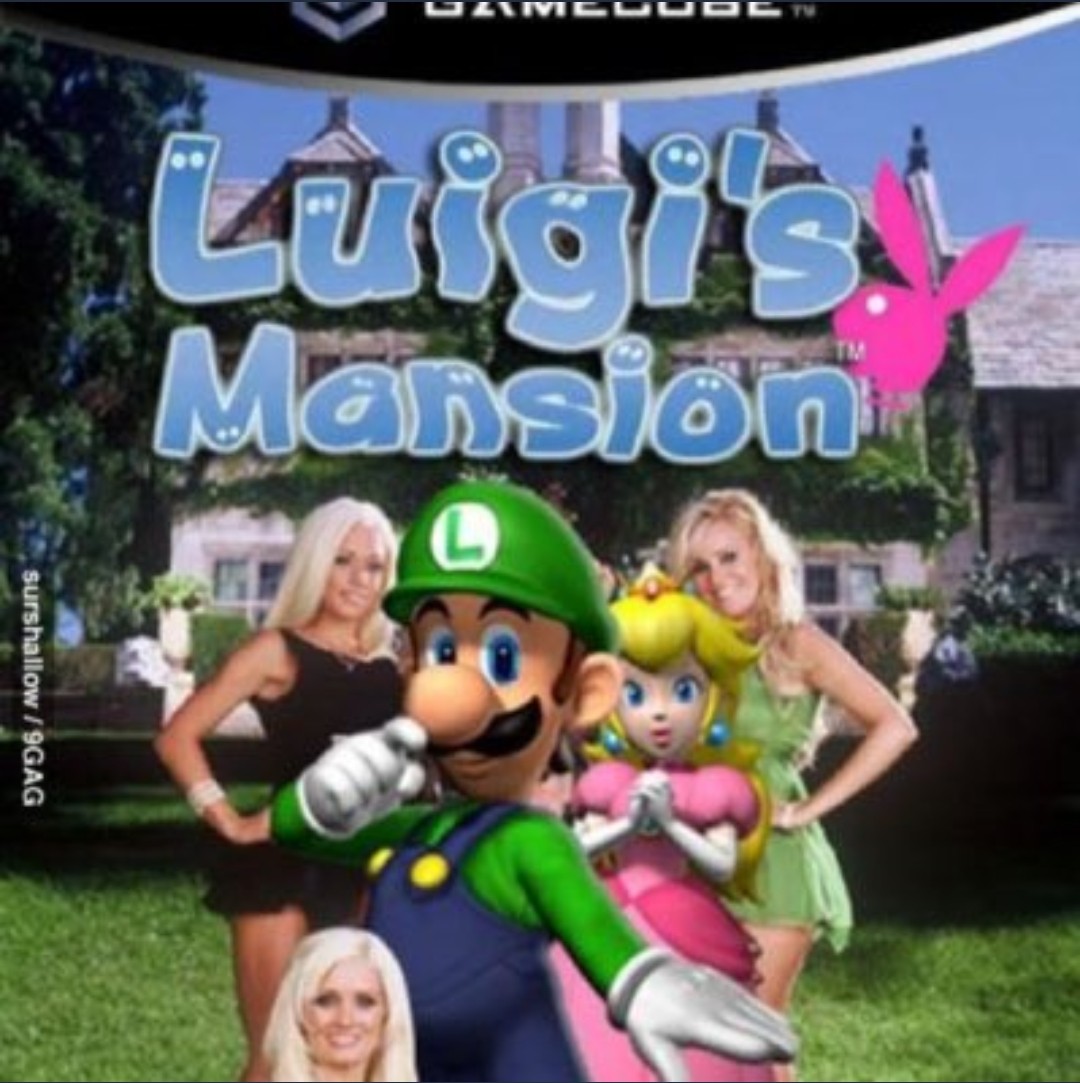 yamilespanol1's tweet photo. #LuigisMansion On The #GameCube The Year Of The Legendary #GreenMario #Luigi The Italian Plumber Getting Them #Playboy Bunny #Hoes And #PrincessPeach Inside His Big Ass Freakin' #Mansion Lmao!!! https://t.co/N8THBIScJX