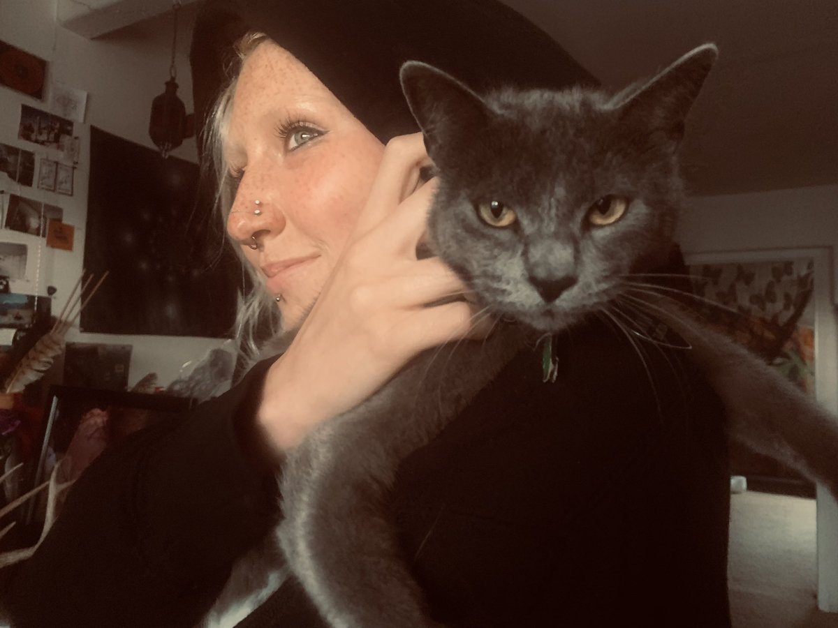 the love story of a tiny neighborhood cat who decided to adopt a goblin