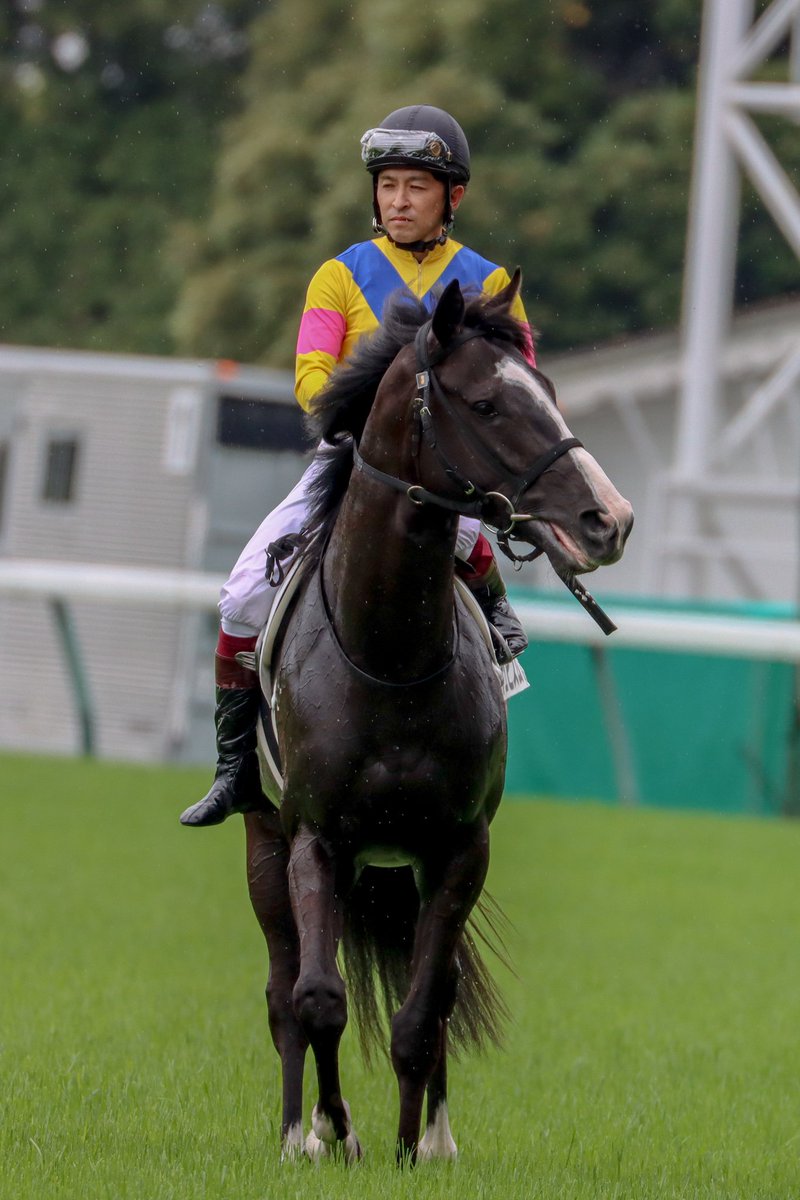 ダイヤモンドビコー Twitter Search Twitter