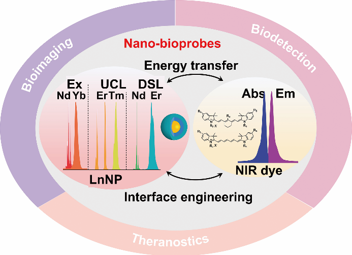 AggregateOA's tweet photo. Review sharing📖
"Luminescent nano-bioprobes based on NIR dye/lanthanide nanoparticle composites" by Dr. Xueyuan Chen et al. from FJIRSM, CAS, China #sensitization #energytransfer #interface #nanoparticles #bioimaging #biodetection #theranostics
Check👉https://t.co/hVHbfnJZ4O https://t.co/HF4Mja33X5