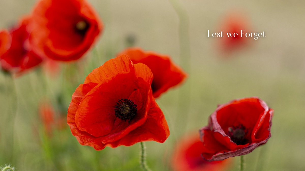 #AnzacDay2022 We honour and reflect on the service and sacrifice of those in the Australian &amp; New Zealand Army Corps in wars, conflicts and peacekeeping missions. 

#LestWeForget #AnzacDay #ANZAC