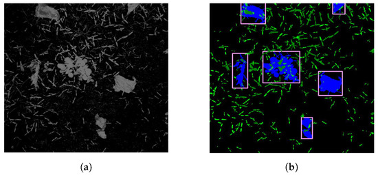 Sensors_MDPI's tweet image. High Speed Crop and Weed Identification in Lettuce Fields for Precision Weeding 
mdpi.com/1424-8220/20/2…
@OfficialUoM 

#MultispectralImaging
#imaging 
#PlantDetection